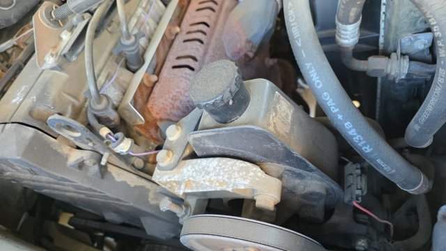 Ventilador y bomba de refrigeración Renault 19