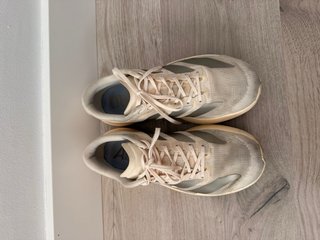 Adidas adizero EVO SL