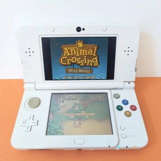 Animal Crossing Wild World Nintendo DS