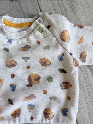 Conjunto chándal bebé erizos
