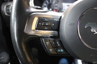 Ford Mustang 5.0 Ti-VCT V8 331KW Mustang GT AT(Fast.)