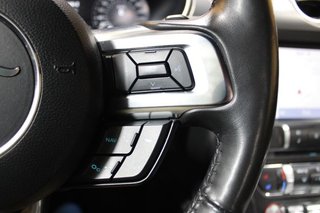 Ford Mustang 5.0 Ti-VCT V8 331KW Mustang GT AT(Fast.)