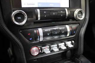 Ford Mustang 5.0 Ti-VCT V8 331KW Mustang GT AT(Fast.)