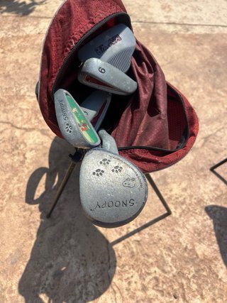 Bolsa de palos de golf