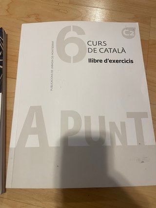 A punt. Curs de català. Llibre de l'alumne, 6