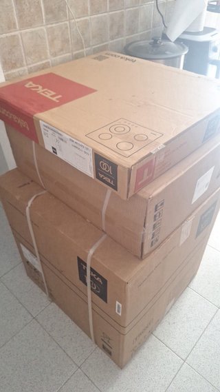 Lote TEKA: Extractor, Horno y Placa Inducción