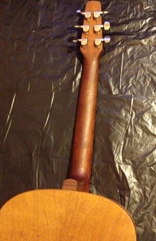 Guitarra Acústica Seagull Cedar S6
