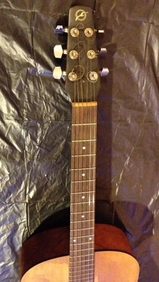 Guitarra Acústica Seagull Cedar S6