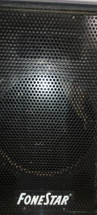 Monitores Fonestar 10 (2 unidades)