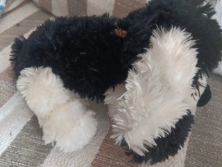 Peluche perro TOY