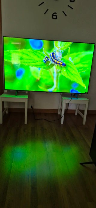 TV OLED LG 65 Negra