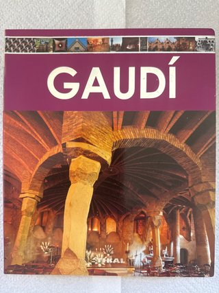 Libro GAUDÍ