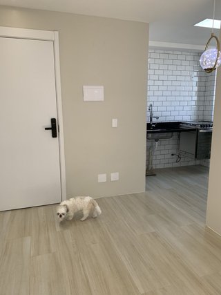 Reforma integral pladur alicatador solador tarima