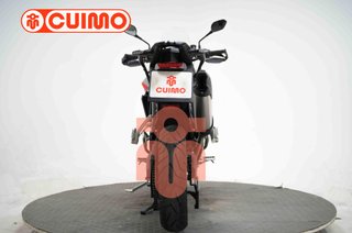 TRIUMPH TIGER 900 RALLY PRO