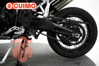 TRIUMPH TIGER 900 RALLY PRO