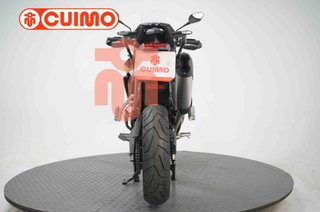 TRIUMPH TIGER 900 RALLY PRO