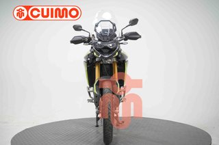 TRIUMPH TIGER 900 RALLY PRO