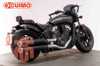 INDIAN SCOUT BOBBER