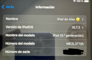 iPad 9.ª generación - Impecable, como nuevo