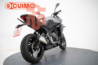 TRIUMPH TIGER SPORT 800