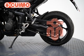 TRIUMPH TIGER SPORT 800