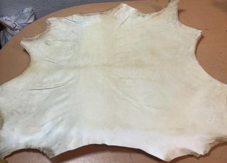 Pelle di pergamena per tamburi
