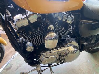 Harley Davidson Sportster 1200 Custom Amarilla