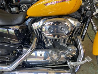 Harley Davidson Sportster 1200 Custom Amarilla