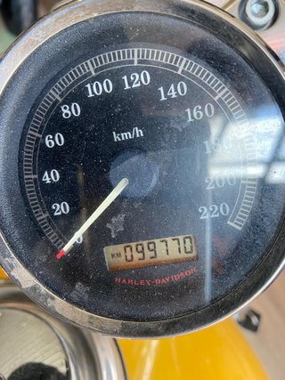 Harley Davidson Sportster 1200 Custom Amarilla