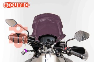 TRIUMPH TIGER 1200