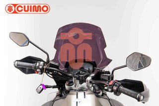 TRIUMPH TIGER 1200