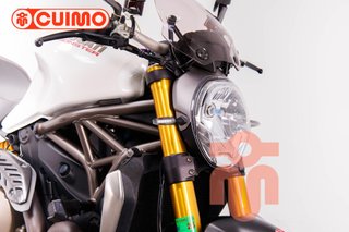 DUCATI MONSTER 1200 S