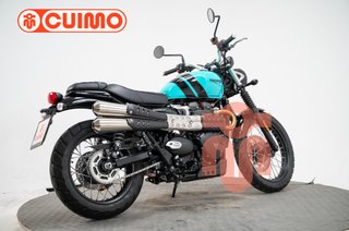 TRIUMPH SCRAMBLER 900