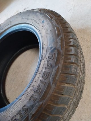 Se vende ruedas seminuevas con sus pelos