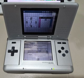 Nintendo DS Fat Plata con Cargador