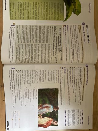 Lengua castellana y literatura 2o ESO