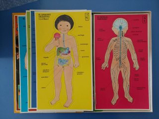 Juego de Anatomía Educa Años 80
