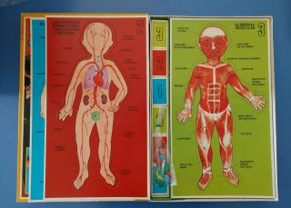 Juego de Anatomía Educa Años 80