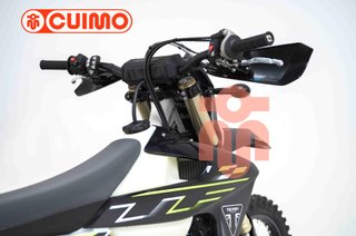 TRIUMPH TF 250-E