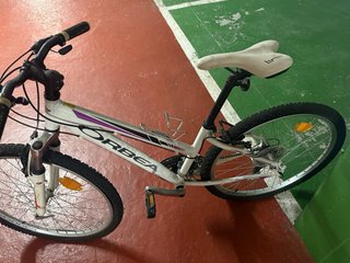 Bicicleta Orbea Paradise