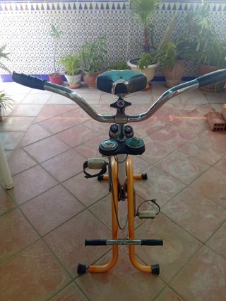 Bicicleta Estática Torrot Gymnastic