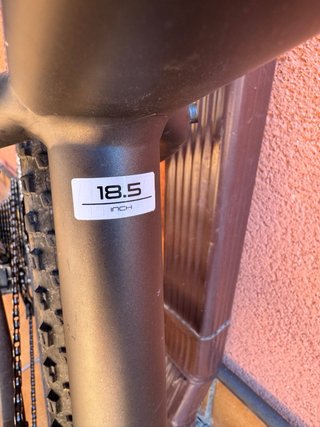 Bicicleta Trek
