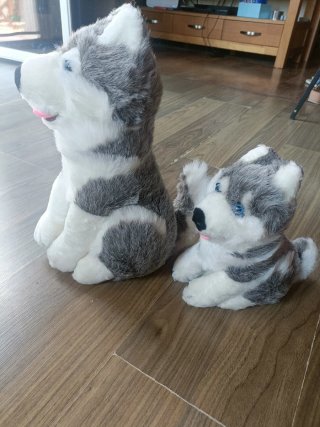 2 Peluches Husky