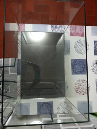 acuario