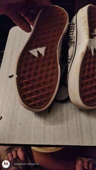 Zapatillas Vans