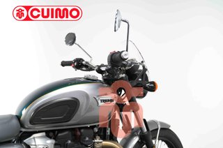 TRIUMPH BONNEVILLE T100