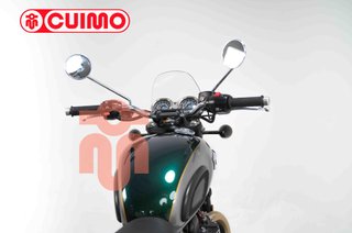 TRIUMPH BONNEVILLE T100