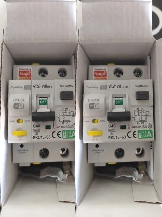 2 Interruptores Diferenciales auto rearmables