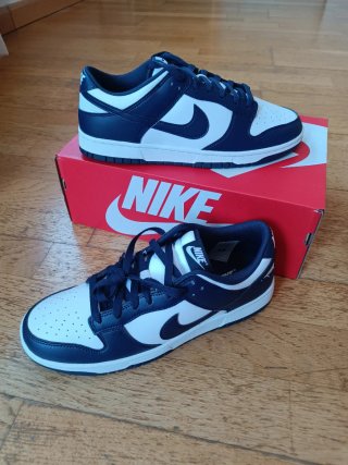 Nike Dunk Low Retro Azul | Talla 44