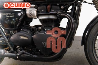 TRIUMPH BONNEVILLE T100